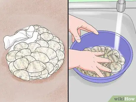 Image titled Rake Manilla Clams or Steamer Clams Step 8