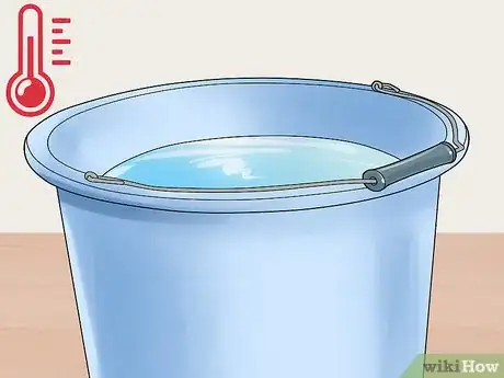 Image titled Groom a Miniature Horse for Show Step 2