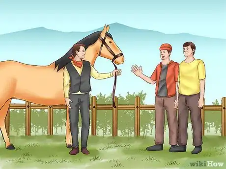 Image titled Buy Your First Horse Step 11