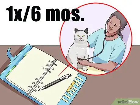 Image titled Keep an Old Cat Young at Heart Step 9