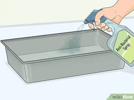 Image titled Care for a Guinea Pig After Neutering Step 2