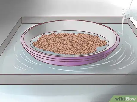 Image titled Grow Alfalfa Sprouts Step 18