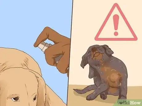 Image titled Keep Pets Safe Around Essential Oils Step 14
