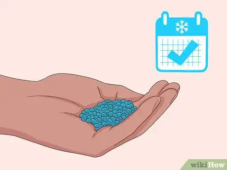 Image titled Grow Dichondra Step 2