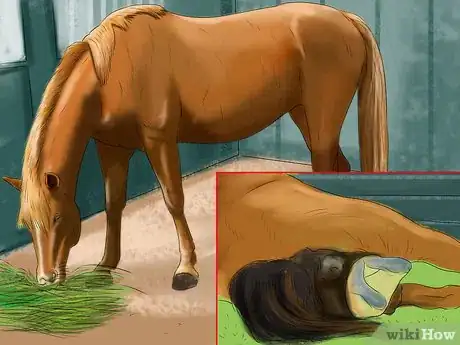 Image titled Prepare a Stall for a Pregnant Mare Step 8