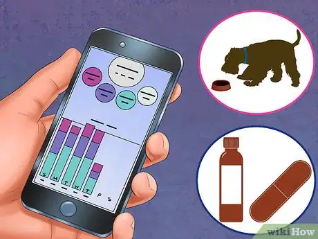 Image titled Track Your Dog's Patterns Step 8