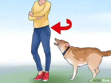 Image titled Discourage Your Host's Obnoxious Dog Step 4