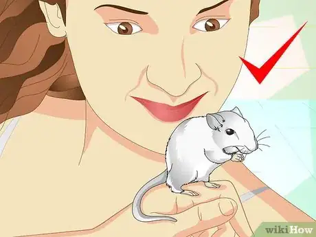 Image titled Tame Your Gerbils Step 14