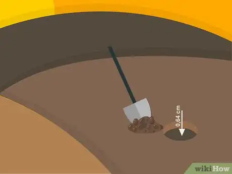 Image titled Grow Cumin Step 15