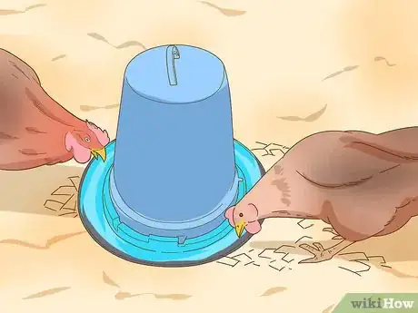 Image titled Keep a Pet Chicken Step 7