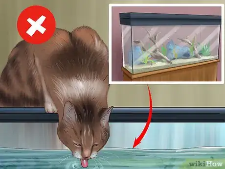 Image titled Stop a Cat from Drinking from Odd Places Step 2