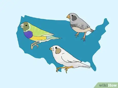 Image titled Choose a Finch Step 3