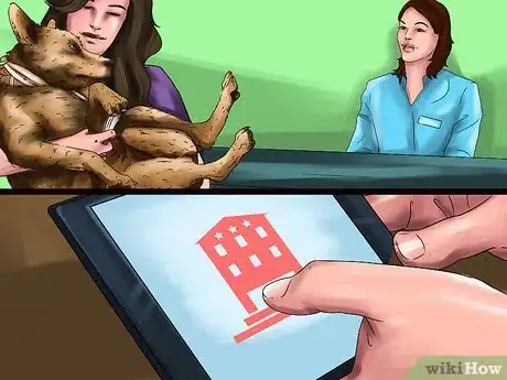 Image titled Choose a Vacation Destination for Animal Lovers Step 10