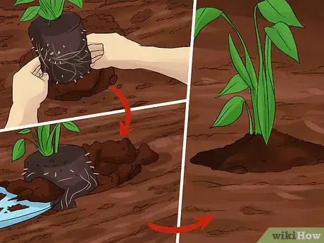 Image titled Create Tree Flower Beds Step 15