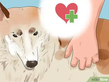 Image titled Find and Adopt a Healthy and Happy Shelter Dog Step 14