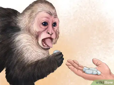 Image titled Quiet a Capuchin Monkey Step 12