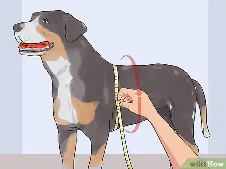 Image titled Dress Your Dog Step 3
