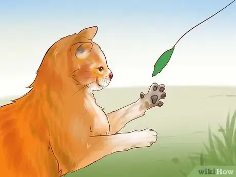 Image titled Care for American Longhair Cats Step 15