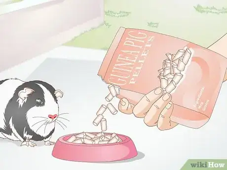 Image titled Feed a Guinea Pig a Well Balanced Meal Step 8