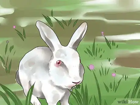 Image titled Choose Rabbit Food Step 3