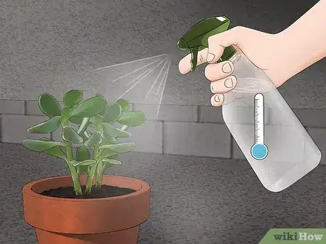 Image titled Kill Spider Mites Step 13