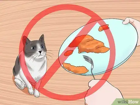 Image titled Protect Your Cat from Household Hazards Step 4