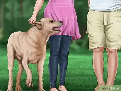 Image titled Approach an Unfamiliar Dog Step 10