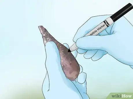 Image titled Cut Dahlia Tubers Step 11