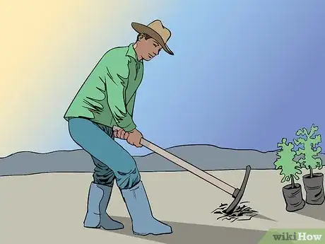 Image titled Plant Trees for a Reforestation Project Step 7