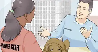 Handle a Dog Given to You As a Gift