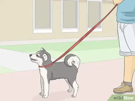 Image titled Train Seizure Alert Dogs Step 8