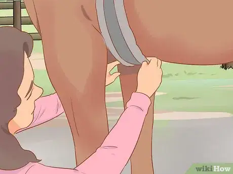 Image titled Tack Up Using English Tack Step 15