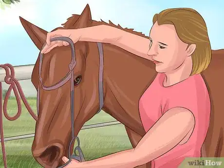 Image titled Tame a Horse or Pony Step 23