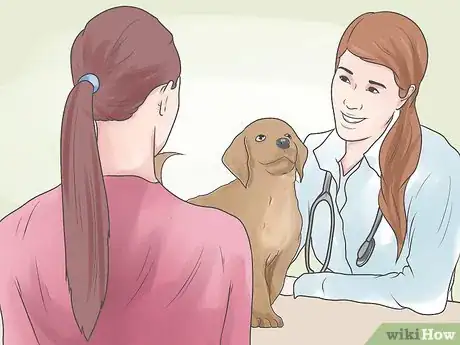 Image titled Treat Heart Failure in Dogs Step 9