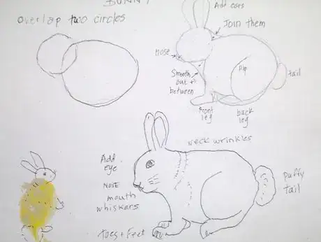 Image titled Drawabunn