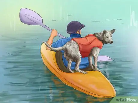 Image titled Keep Your Dog Safe on a Boat Ride Step 7
