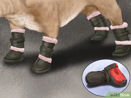 Image titled Keep an Older Dog Warm in Cold Weather Step 3