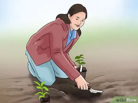 Image titled Lose Weight Gardening Step 1