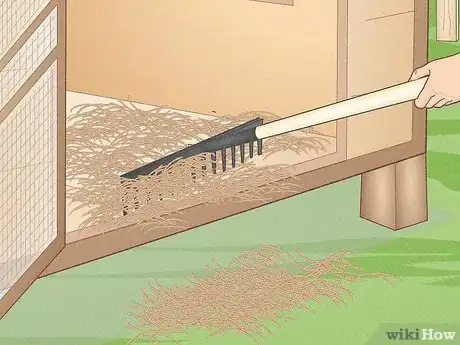 Image titled Prevent Diseases in Chickens Step 1