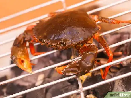 Image titled Prepare Crabs Step 17