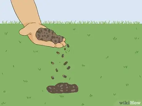 Image titled Bring Back Dead Grass Step 9