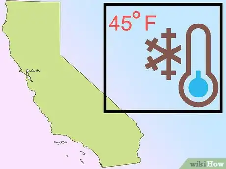 Image titled Grow Olives Step 1