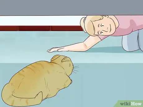 Image titled Train a Cat to Stop Fearing Sudden Movements Step 13