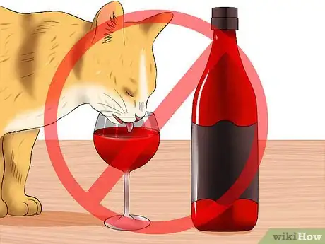 Image titled Protect Your Cat from Holiday Hazards Step 4