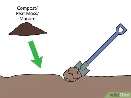 Image titled Grow Pampas Grass Step 03