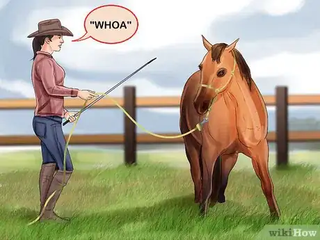 Image titled Round Pen a Horse Step 7