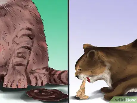 Image titled Give L‐Carnitine to Cats with Fatty Liver Step 11