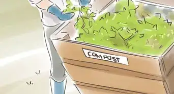 Prune a Standard or Potted Fig Tree