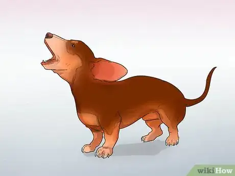 Image titled Understand Small Dog Syndrome Step 2