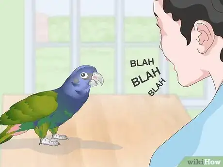 Image titled Bond with a Pionus Parrot Step 12